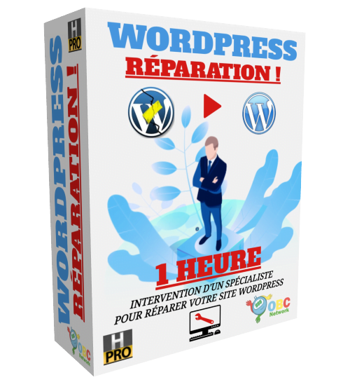 Réparation Site WordPress Cassé
